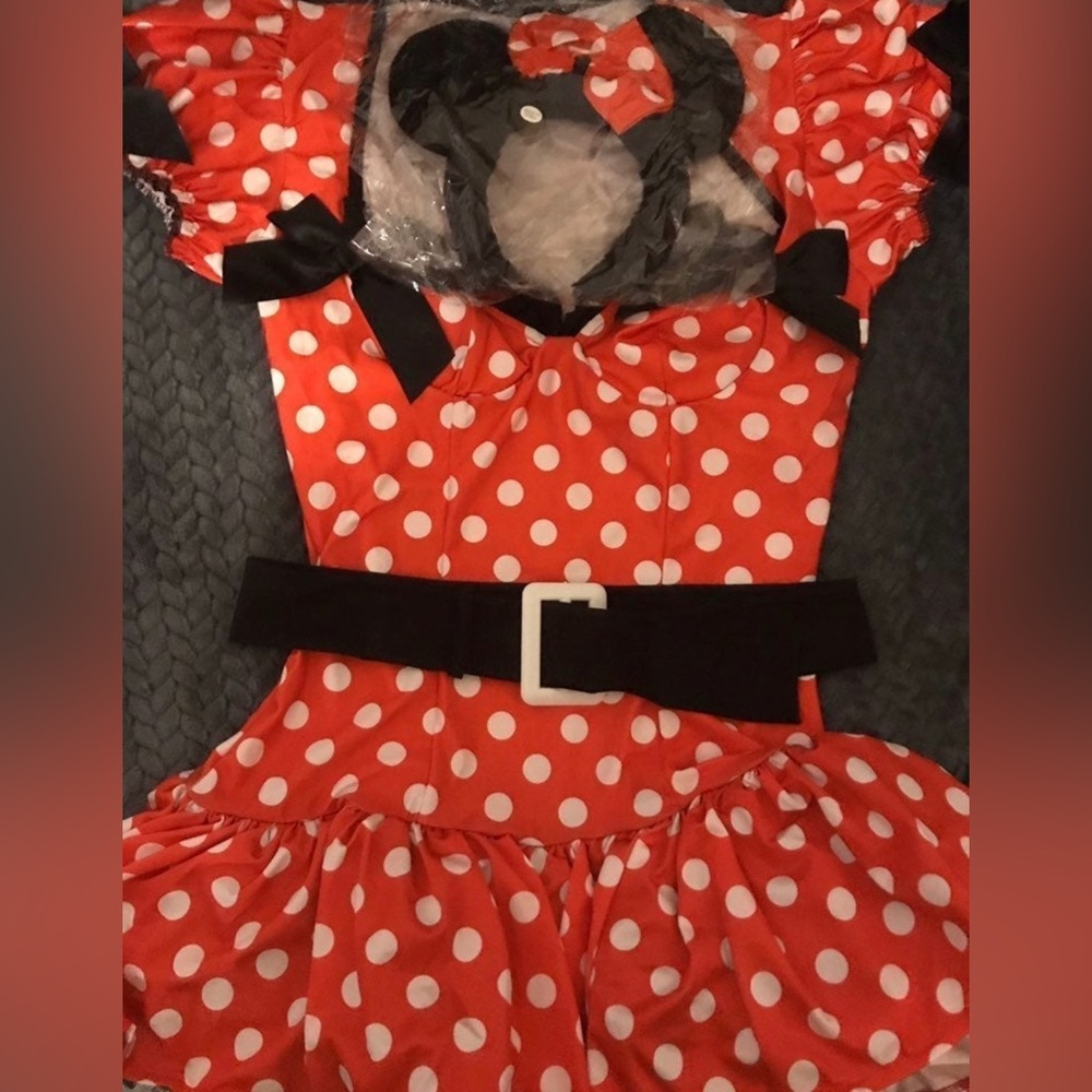 Minnie Costume